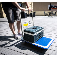 BRÜDER MANNESMANN Plattformwagen, Tragkraft: 150 kg