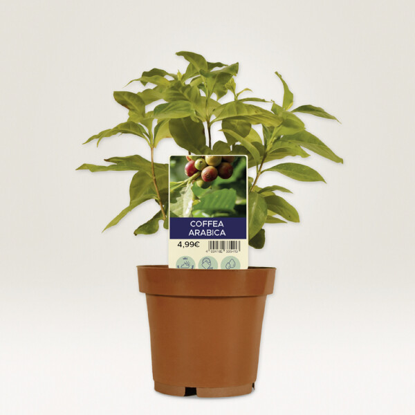 AVERY Zweckform Steckschilder, Folie, 128 x 47 mm, weiß