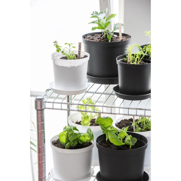 orthex Blumentopf CULTIVATE, Durchmesser: 160 mm, schwarz