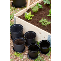 orthex Blumentopf CULTIVATE, Durchmesser: 160 mm, schwarz