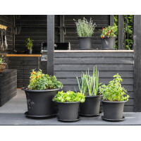 orthex Blumentopf BOTANICA, Durchmesser: 600 mm, grau
