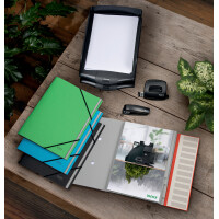 LEITZ Ordnungsmappe Recycle, DIN A4, Karton, 12...