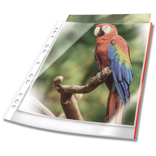 DURABLE Prospekthülle PREMIUM, DIN A4, PP, Rand blau