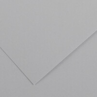 CANSON Tonpapier Vivaldi, 500 x 650 mm, hellgrau