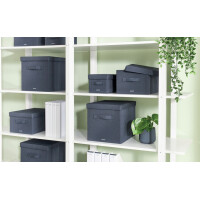 LEITZ Aufbewahrungsbox aus Stoff, Größe L, 2er...