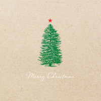 PAPSTAR Weihnachts-Motivservietten "Its cold...