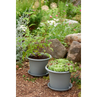 orthex Blumentopf BOTANICA, Durchmesser: 400 mm, schwarz