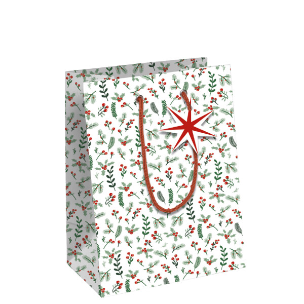 Clairefontaine Weihnachts-Geschenktüte "Cosy", klein