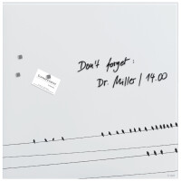 sigel Glas-Magnettafel Artverum Design Little Birds