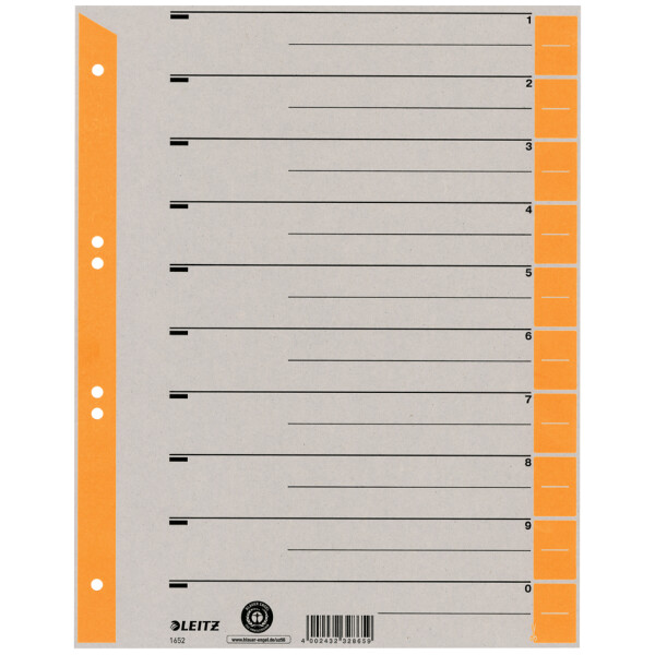 LEITZ Trennbl&auml;tter, A4 &Uuml;berbreite, Kraftkarton 230g qm, gr&uuml;n
