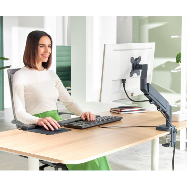 LEITZ Monitorarm Ergo, Armlänge: 453 mm, samtgrau