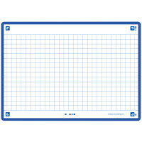 Oxford Karteikarten "Flash 2.0", 105 x 148 mm, mint