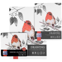 Oxford Art Zeichenblock "Drawing", DIN A4, 200...
