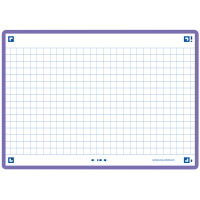 Oxford Karteikarten "Flash 2.0", 105 x 148 mm, fuchsia