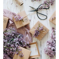 COLOP Motivstempel-Set "LITTLE NIO" Englisch,...