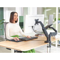 LEITZ Monitorarm Ergo mit Notebookhalterung, samtgrau