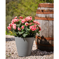 tera Pflanzgefäß "Hoop",...