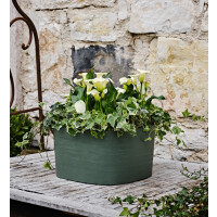 tera Pflanzschale "Rodi", Breite: 370 mm, sand