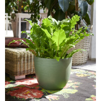 tera Pflanzgefäß "Over",...