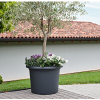 tera Pflanzgefäß "Menfi",...