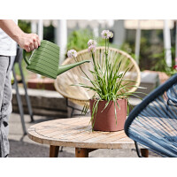 tera Gießkanne "Wave", 1,85 Liter, candy