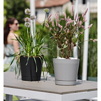 tera Pflanzgefäß "Orione", Durchmesser: 190 mm, forest