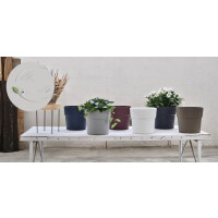 tera Pflanzgefäß "Andromeda",...