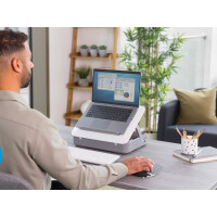 Fellowes Tragbare Notebook-Toolbox Breyta, weiß