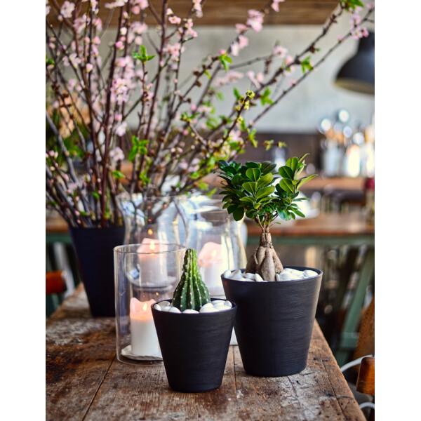 tera Pflanzgefäß "Hoop", Durchmesser: 250 mm, black