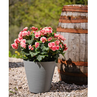 tera Pflanzgefäß "Hoop", Durchmesser: 250 mm, cloud