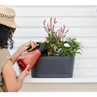 tera Blumenkasten "Vega", Breite: 400 mm, ash