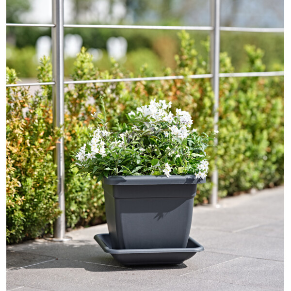 tera Untersetzer "Nazca", Breite: 290 mm, terrakotta