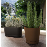 tera Blumenkasten "Vega", Breite: 400 mm, caramel