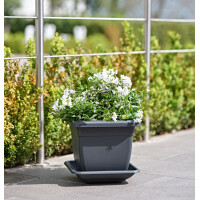 tera Pflanzkübel "Nazca", Breite: 200 mm, anthrazit