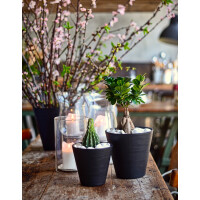 tera Pflanzgefäß "Hoop",...