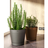 tera Pflanzgefäß "Orione",...