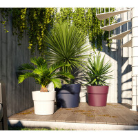 tera Pflanzgefäß "Andromeda", Durchmesser: 380 mm, sand