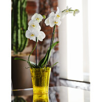 tera Orchideentopf "Orchidea 16", transparent