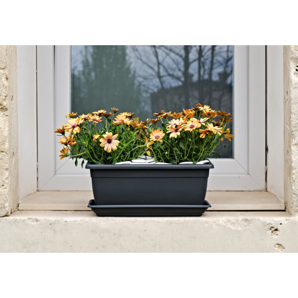 tera Blumenkasten "Nara", Breite: 600 mm, terrakotta