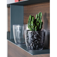 tera Blumentopf "Madeira 16", transparent