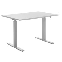Topstar Sitz- Steh-Schreibtisch, (B)1.600 mm, grau buche