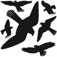 HERMA Hinweisetikette "Warnvögel", bunt