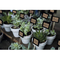 HERMA Vielzweck-Etiketten Silphie, 52 x 100 mm, naturbraun