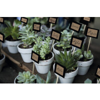 HERMA Vielzweck-Etiketten Silphie, 13 x 40 mm, naturbraun