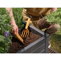 tera Garten- Blumenforke "Gaia 04", curry