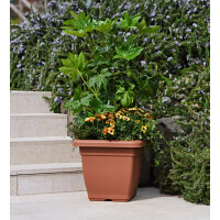 tera Untersetzer "Nazca", Breite: 180 mm,...