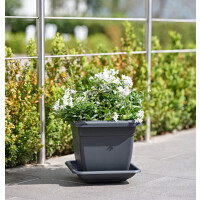 tera Untersetzer "Nazca", Breite: 180 mm, terrakotta