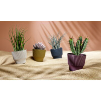 tera Übertopf "Mini", Durchmesser: 130 mm,...