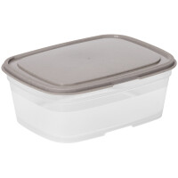 smartstore Frischhaltedose, 1,0 Liter, grau transparent