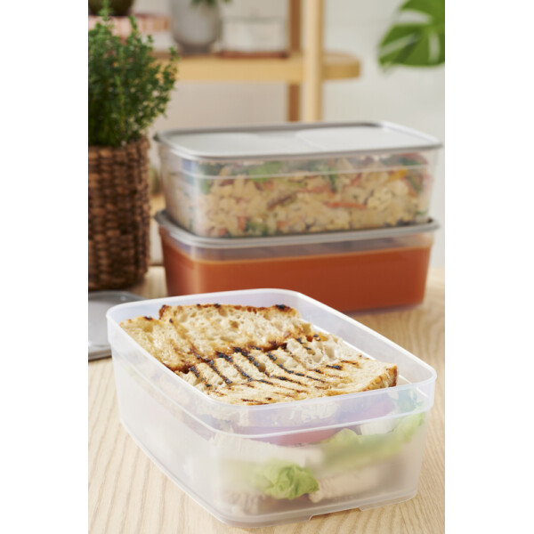 smartstore Frischhaltedose, 1,6 Liter, grau transparent